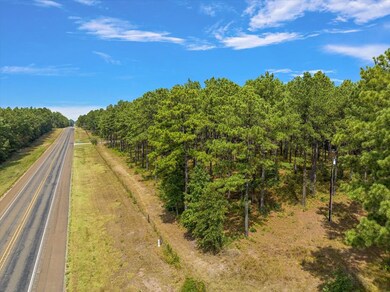 8250 Tract 3 Us Hwy 103w, Lufkin, TX 75904 - photo 3