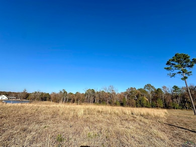 178 Eagle Creek Dr, Diana, TX 75640 - photo 2