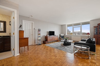 Imperial Towers unit 908, Chestnut Hill, MA 02467 - photo 5