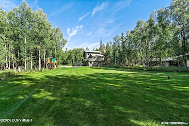 Big, beautiful yard!