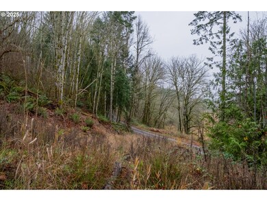 38353 SW Laurelwood Rd, Gaston, OR 97119 - photo 5
