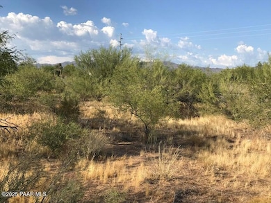 29670 State Highway 89, Congress, AZ 85332 - photo 6