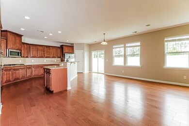 334 Bracken Fern Rd, Moncks Corner, SC 29461 - photo 5