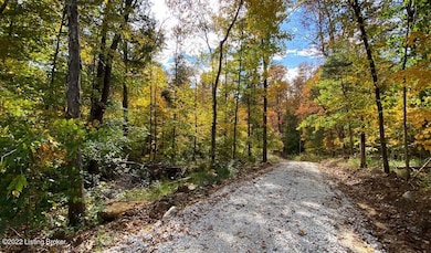 River View Fall298