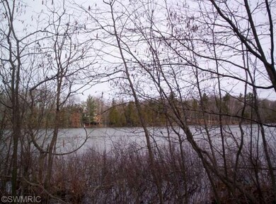 1 Lakeshore, Merrill Township, MI 49309 - photo 4