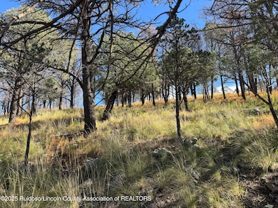 - Pine Shadow Trail, Ruidoso, NM 88345 - photo 3