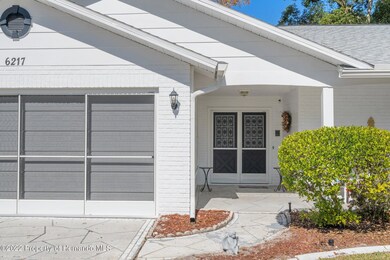 6217 Ocean Pines Ln, Spring Hill, FL 34606 - photo 4