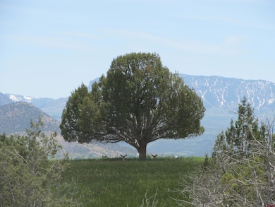 TBD Grandview Mesa Rd, Crawford, CO 81415 - photo 6