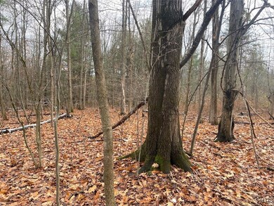 0 County Road 15 unit S1651526, Granger, NY 14735 - photo 4