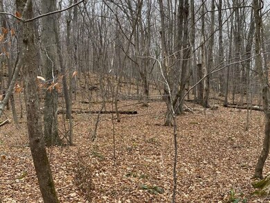 0 Read Farm Ln unit 4839074, Dorset, VT 05253 - photo 3