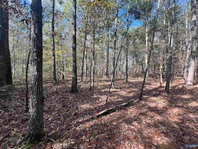 2050 Heritage Ln SW, Hartselle, AL 35640 - photo 7