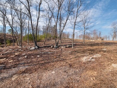 0 Hovering Hawk Dr unit RTC2912800, Jasper, TN 37347 - photo 6