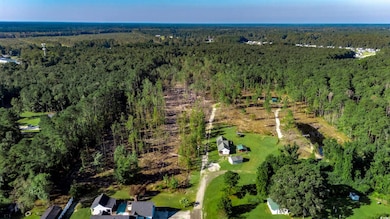 TBD Juniper Bay Rd, Conway, SC 29527 - photo 3