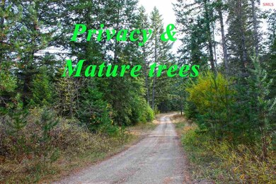 616 Peak View Rd, Sagle, ID 83860 - photo 4