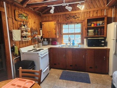 7306 W Erik Ln, Baldwin, MI 49304 - photo 5