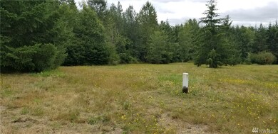 230 Mountview Ln, Ethel, WA 98542 - photo 7