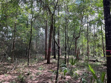 11960 White Oak Run, Conroe, TX 77385 - photo 7