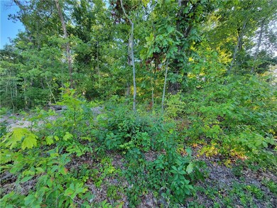 0 Ripley Ln, Bella Vista, AR 72715 - photo 6