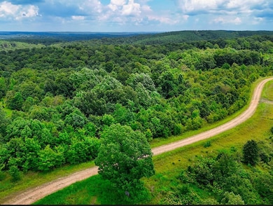 0 Shores Trail unit RTC3000408, Stewart, TN 37175 - photo 4