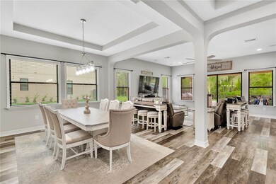 Dining/Living/Kitchen Open Concept