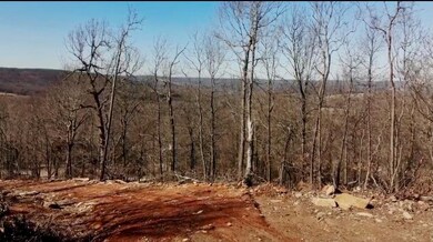 12760 Patton Rd, West Fork, AR 72774 - photo 3