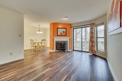 Open Concept