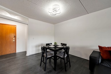 Glen Lake Condominiums unit 201, Chicago, IL 60634 - photo 4