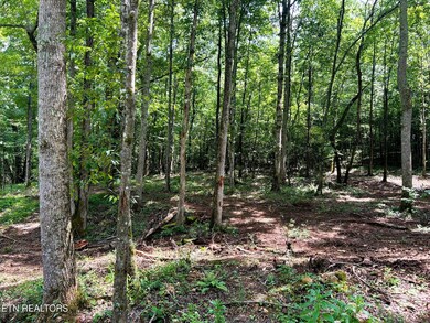 Hardwoods throughout!