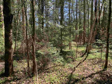 Lot 19 Route 3, Columbia, NH 03576 - photo 3