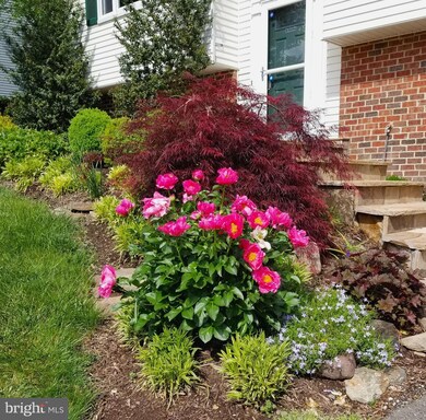 6815 Rock Creek Ct, Alexandria, VA 22306 - photo 2