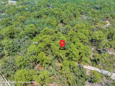 0 Restoration unit 2255435, Weeki Wachee, FL 34613 - photo 4