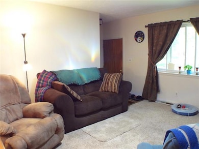 5325 Tulip Ave, Lansing, MI 48911 - photo 6