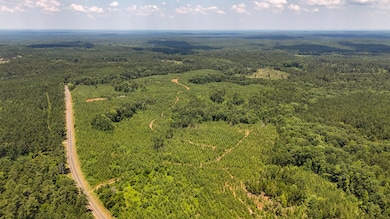 0 Buckhead Rd, Blair, SC 29015 - photo 2