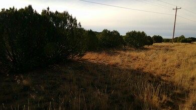 0 N Us-84, Las Vegas, NM 87701 - photo 7