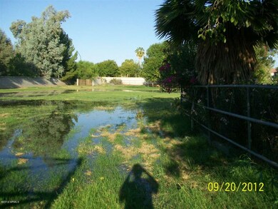 Pasture with irrigation.