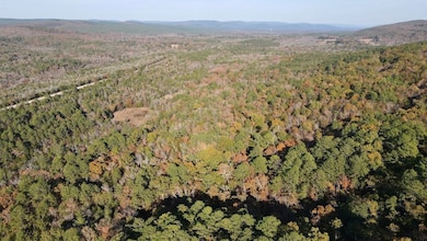 Snow unit OK, Snow, OK 74567 - photo 3