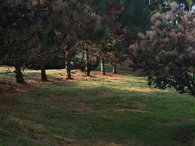 Yard/Garden. GORGEOUS LOT!