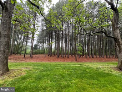 Lot B Catalpa Point Rd, Easton, MD 21601 - photo 6