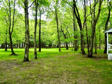 105 Beech Ln, Albrightsville, PA 18210 - photo 6