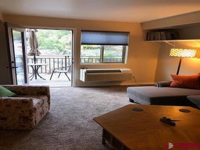 1700 County Road 203 unit B-305, Durango, CO 81301 - photo 4