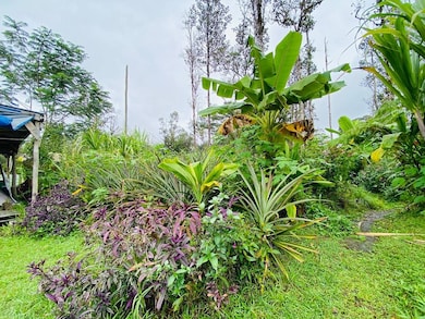 So much food produced, are you ready to harvest the fruits of their labor?