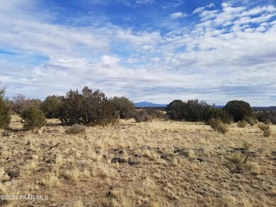 47 Mile High Rd, Ash Fork, AZ 86320 - photo 6