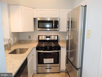 4733 Bradley Blvd unit 5, Chevy Chase, MD 20815 - photo 6