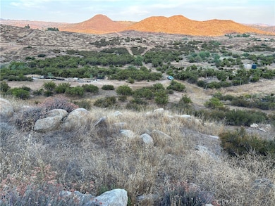 0 Jonas Ct unit SW24145035, Hemet, CA 92544 - photo 7