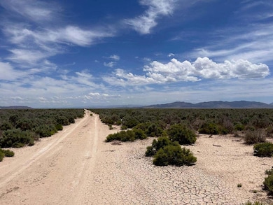 20230612173117852815000000-o-2