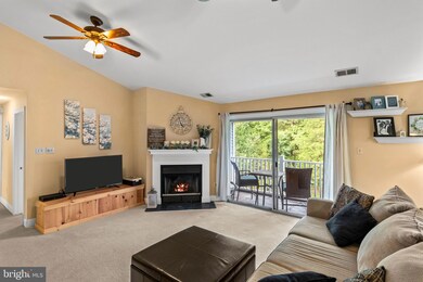 904 Mews Dr unit 904, Sellersville, PA 18960 - photo 3