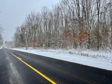 0 Preston Hill Rd, Camden, NY 13316 - photo 5