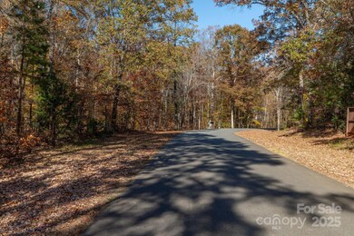 0 Nablus Dr unit 2, Waxhaw, NC 28173 - photo 5
