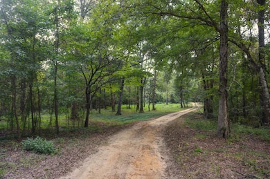 31 Georgia 41, Morgan, GA 39866 - photo 4