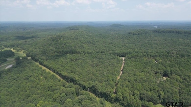 TBD Cactus Rd, Pittsburg, TX 75686 - photo 5